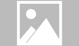 在线观看动漫网站,揭秘热门在线观看平台背后的精彩故事